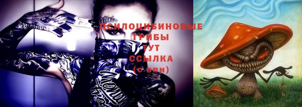 кокс Баксан
