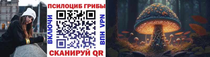 Псилоцибиновые грибы Psilocybe  Зея 